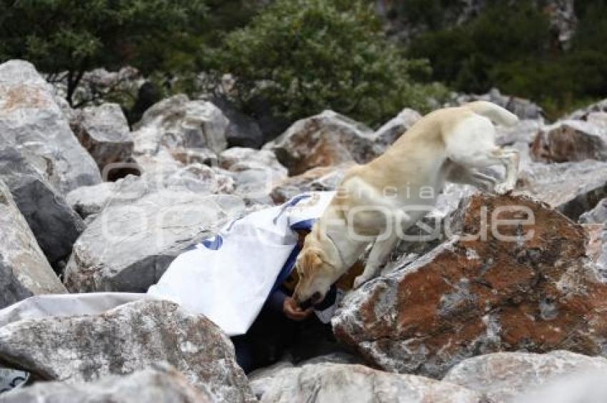 CRUZ ROJA . RESCATE CANINO