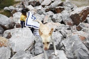 CRUZ ROJA . RESCATE CANINO