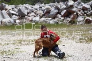 CRUZ ROJA . RESCATE CANINO