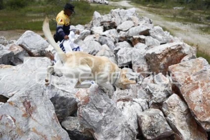 CRUZ ROJA . RESCATE CANINO