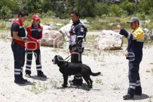 CRUZ ROJA . RESCATE CANINO