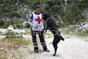 CRUZ ROJA . RESCATE CANINO