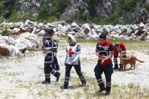 CRUZ ROJA . RESCATE CANINO