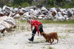 CRUZ ROJA . RESCATE CANINO