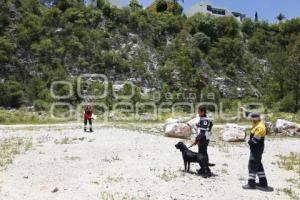 CRUZ ROJA . RESCATE CANINO