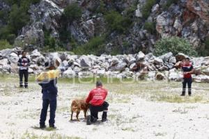 CRUZ ROJA . RESCATE CANINO