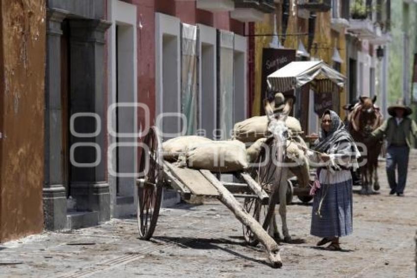 ESPECTÁCULOS . LA BANDIDA