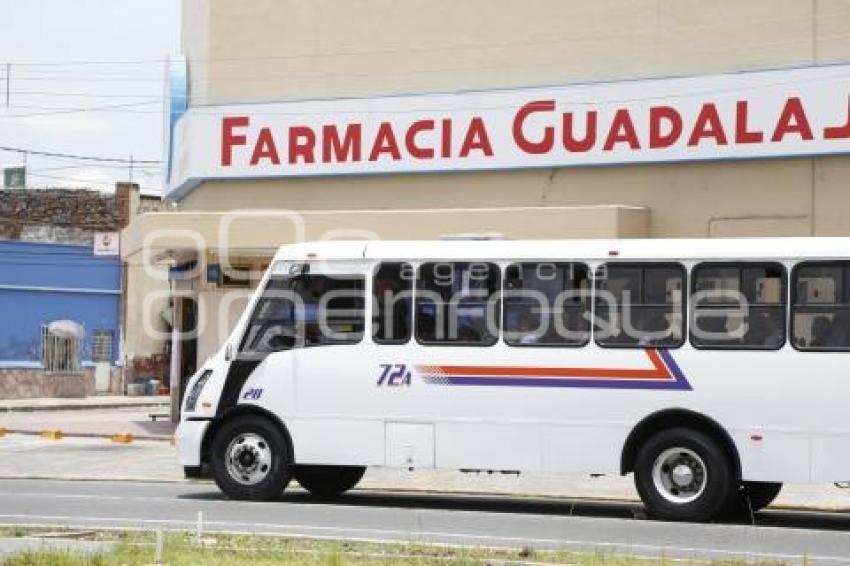 TRANSPORTE PÚBLICO . VIDRIOS POLARIZADOS