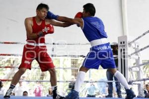 FINAL TORNEO BOX DE BARRIOS