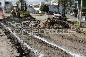 OBRAS . AVENIDA JUÁREZ