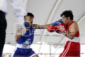 FINAL TORNEO BOX DE BARRIOS