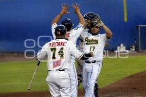 BÉISBOL . PERICOS VS TIGRES PLAY OFF