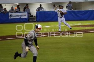 BÉISBOL . PERICOS VS TIGRES PLAY OFF