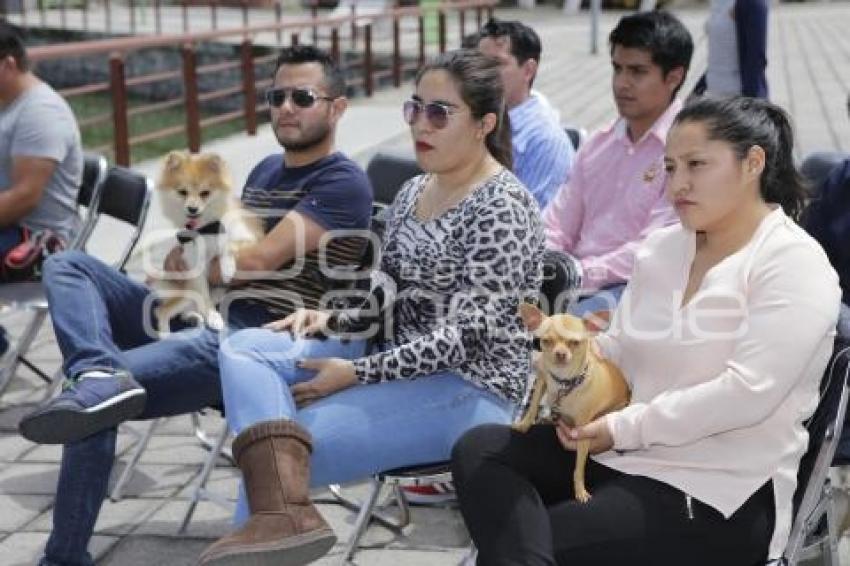 CARRERA . MARCANDO HUELLAS