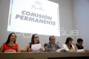 CONGRESO . COMISIÓN PERMANENTE