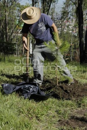 REFORESTACIÓN CERRO DE AMALUCAN