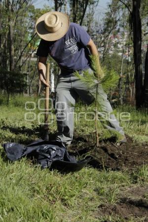 REFORESTACIÓN CERRO DE AMALUCAN