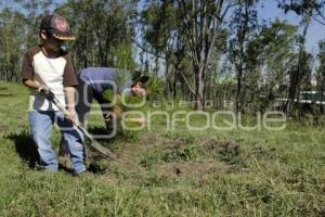 REFORESTACIÓN CERRO DE AMALUCAN