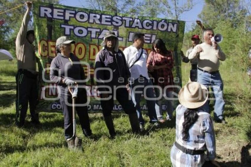 REFORESTACIÓN CERRO DE AMALUCAN