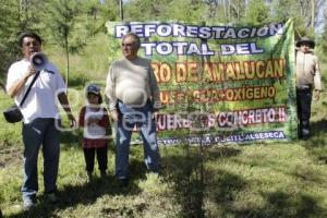 REFORESTACIÓN CERRO DE AMALUCAN