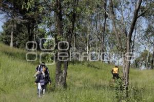 REFORESTACIÓN CERRO DE AMALUCAN