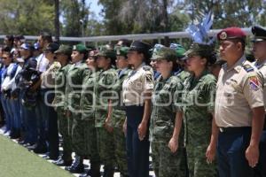 RODADA A EXPOSICIÓN MILITAR