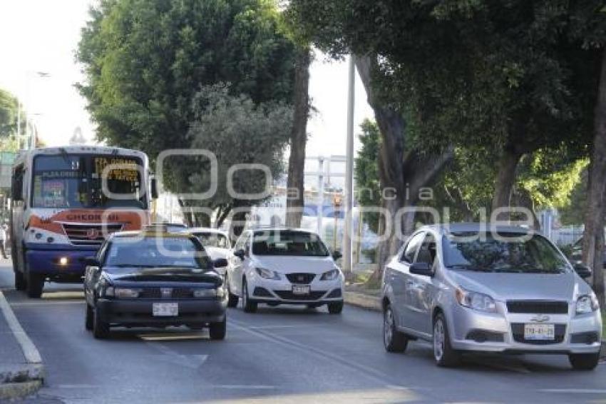 TRÁFICO VEHICULAR