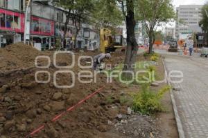 OBRAS . AVENIDA JUÁREZ