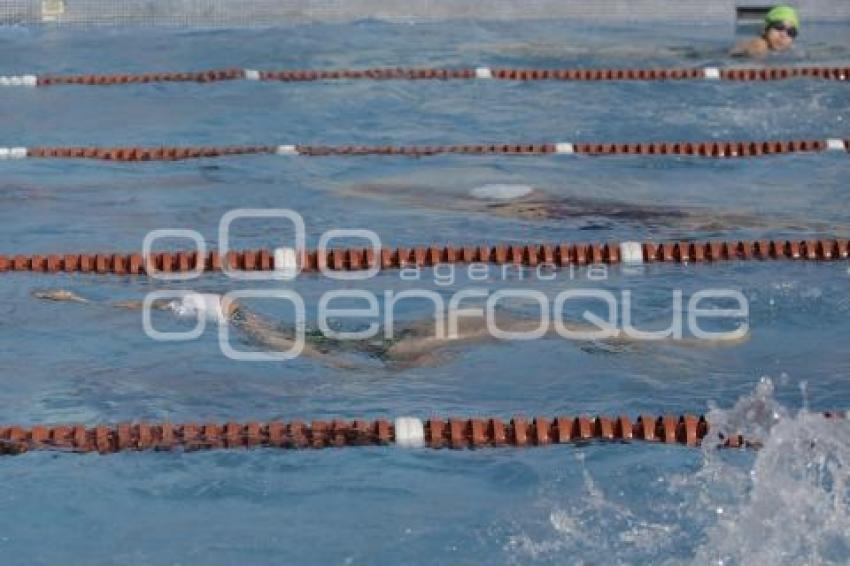 NATACIÓN . COPA OLIMPIA