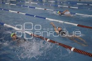 NATACIÓN . COPA OLIMPIA