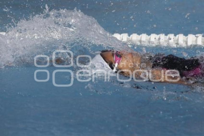 NATACIÓN . COPA OLIMPIA