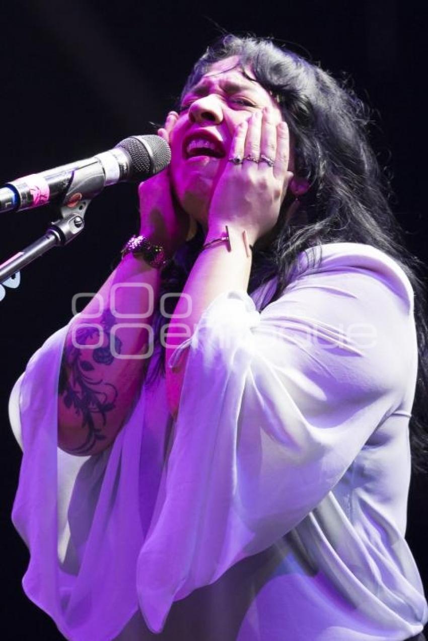 TECATE COMUNA . CARLA MORRISON