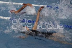 NATACIÓN . COPA OLIMPIA