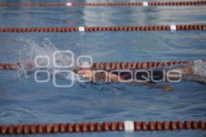 NATACIÓN . COPA OLIMPIA