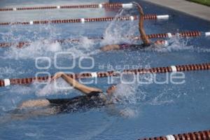 NATACIÓN . COPA OLIMPIA