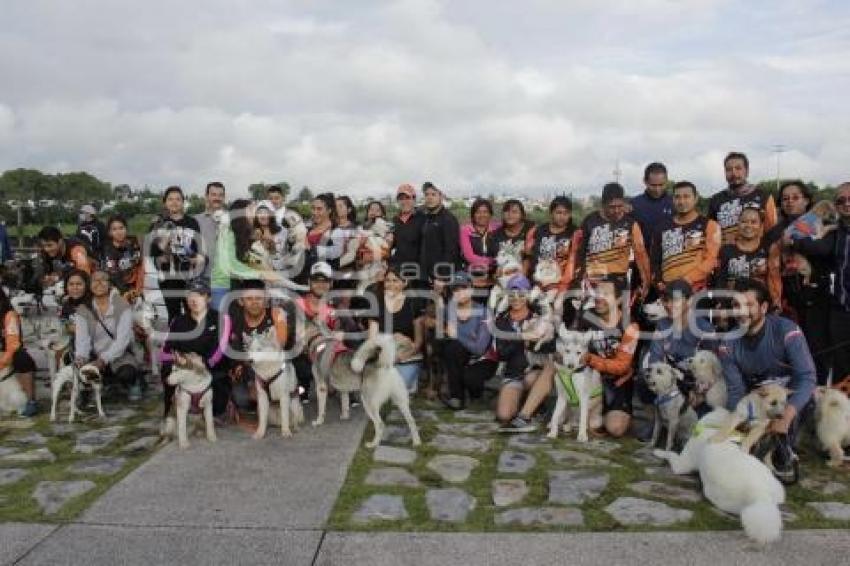 CARRERA MARCANDO HUELLAS