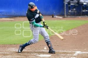 BÉISBOL . FINAL ZONA SUR