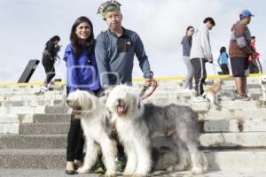 CARRERA MARCANDO HUELLAS