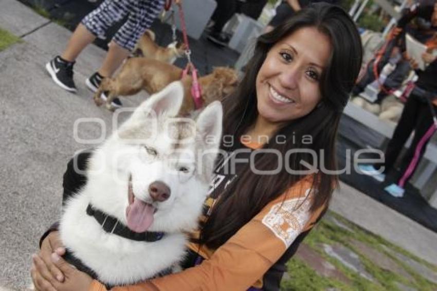 CARRERA MARCANDO HUELLAS