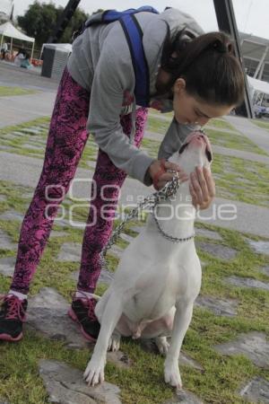 CARRERA MARCANDO HUELLAS