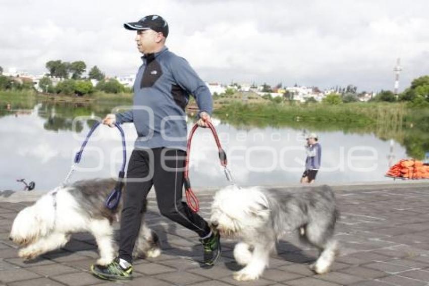 CARRERA MARCANDO HUELLAS