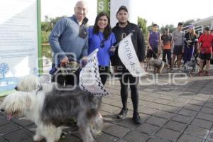 CARRERA MARCANDO HUELLAS