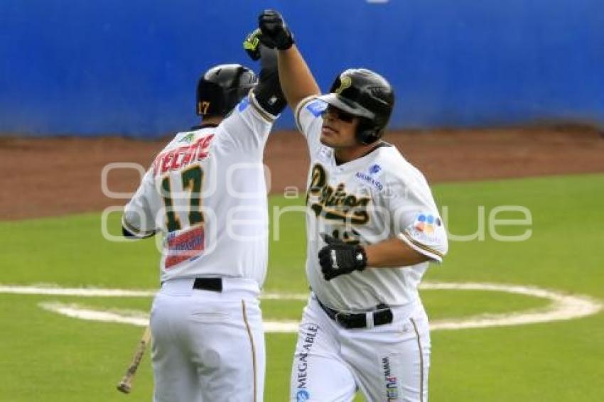 BÉISBOL . FINAL ZONA SUR