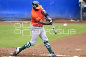 BÉISBOL . FINAL ZONA SUR