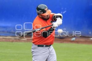 BÉISBOL . FINAL ZONA SUR