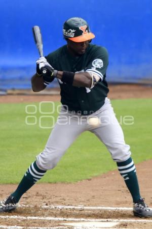 PERICOS CAMPEONES ZONA SUR