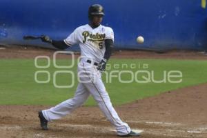 PERICOS CAMPEONES ZONA SUR