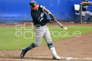 PERICOS CAMPEONES ZONA SUR