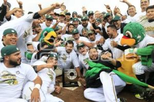 PERICOS CAMPEONES ZONA SUR