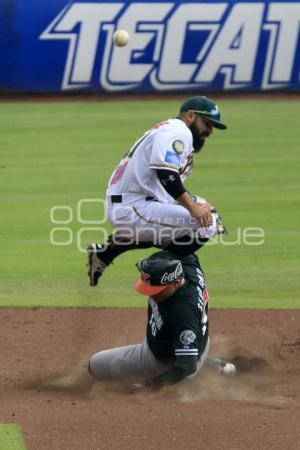 PERICOS CAMPEONES ZONA SUR